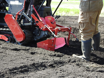 じゃがいも栽培