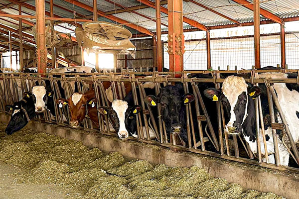 重機で混合する